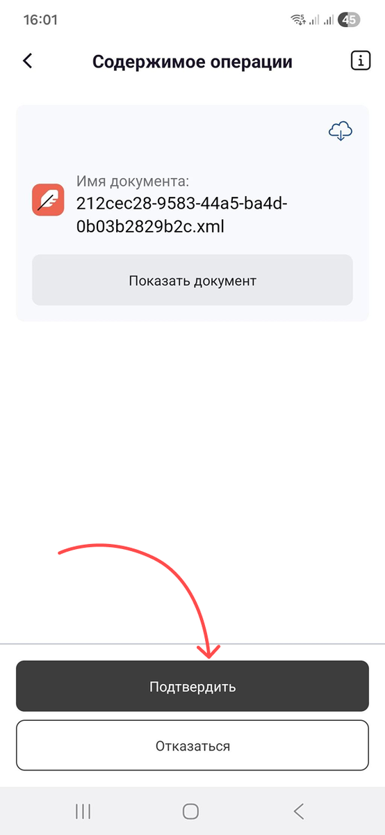 scale_1200 (27).png