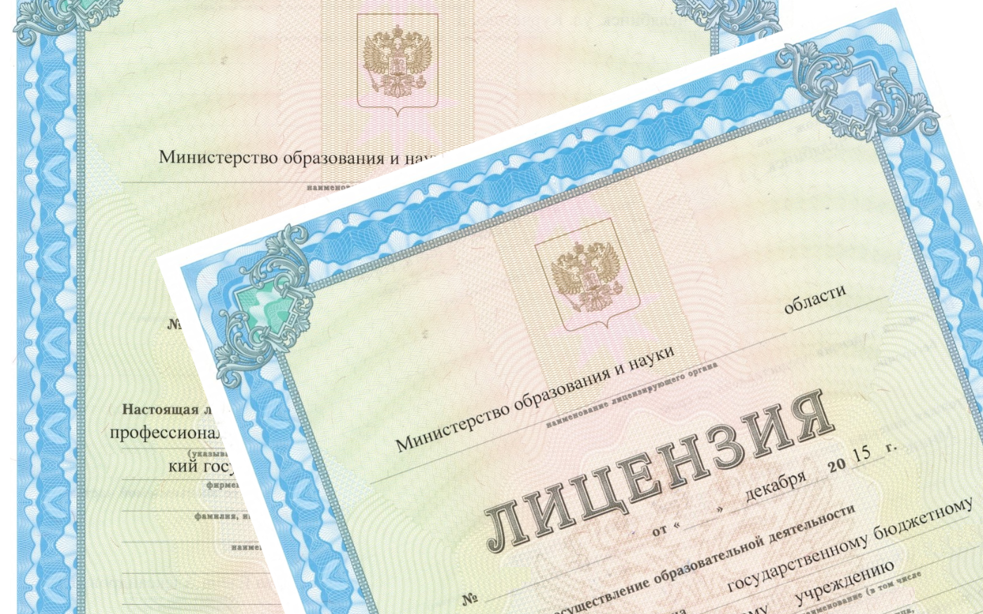 license2.png